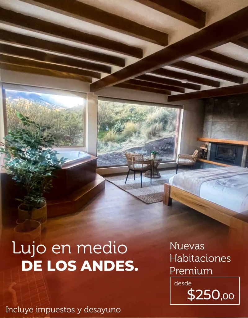 Nuevas habitaciones premium